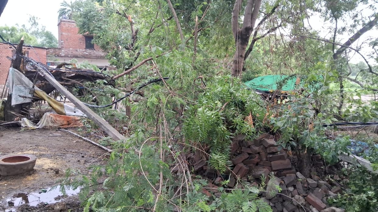 Storm hits with speeds of 80 km/h; trees fall on three substations, seven electricity poles snap.