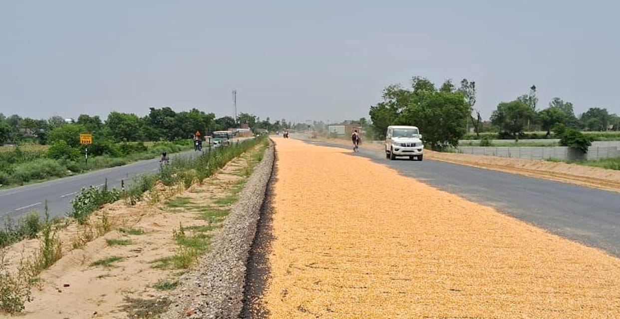 Farmers drying maize on the six-lane highway under construction.