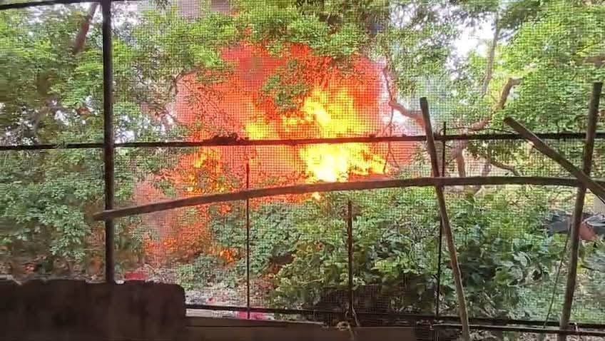 Fire breaks out at fruit market; goods belonging to two traders destroyed.