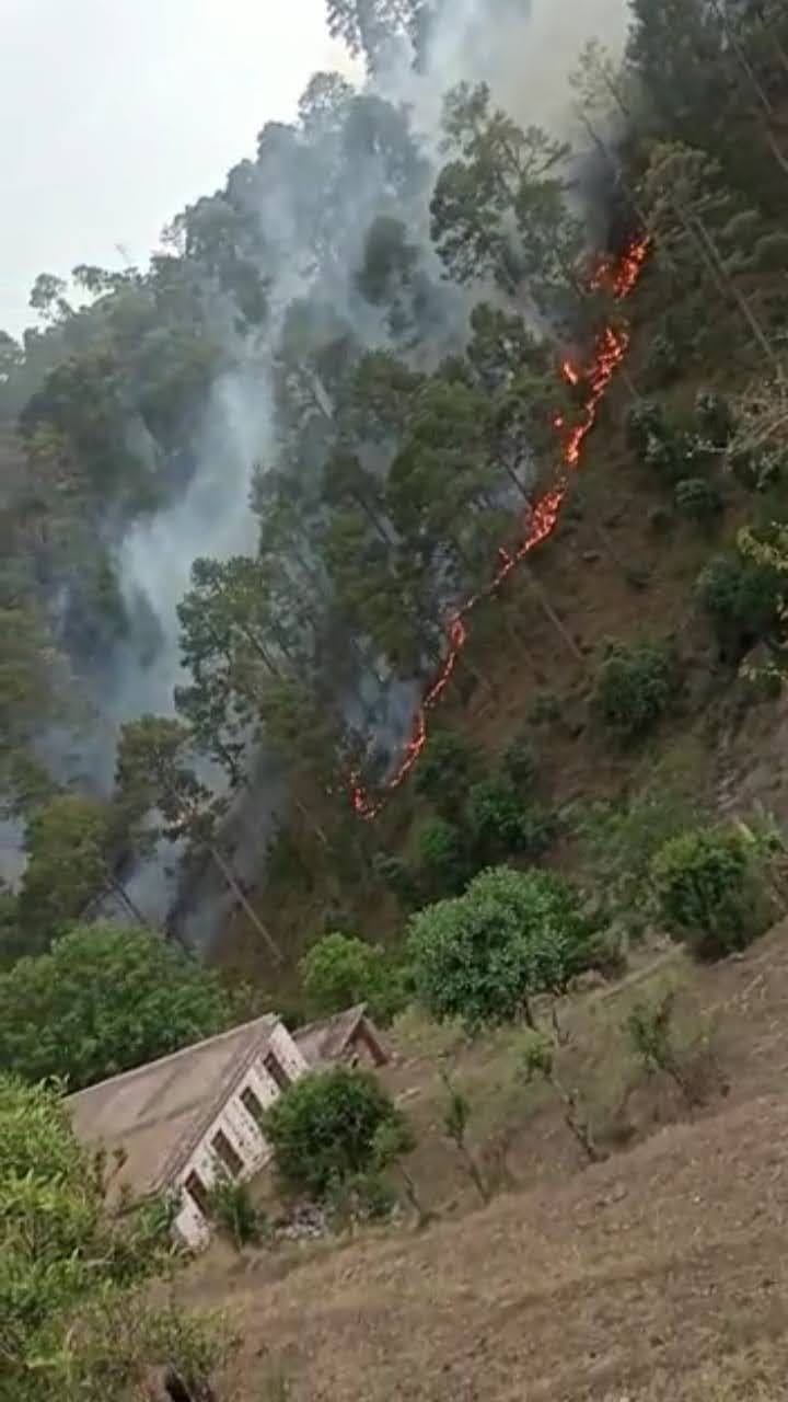 Fire wreaks havoc; wildlife habitats at risk.