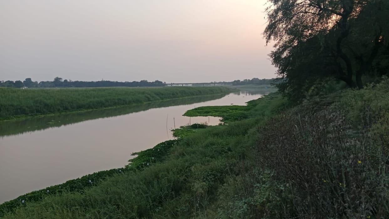 Demand to develop Dah Taal along the lines of Surha Taal