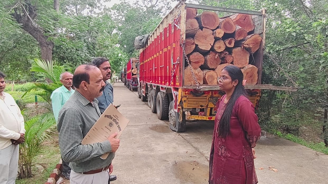 Five trucks carrying wood to Bihar were caught near the toll plaza