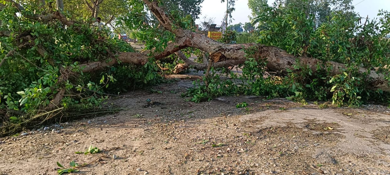 Power supply disrupted by storm; 50,000 people left in the dark for 15 hours.