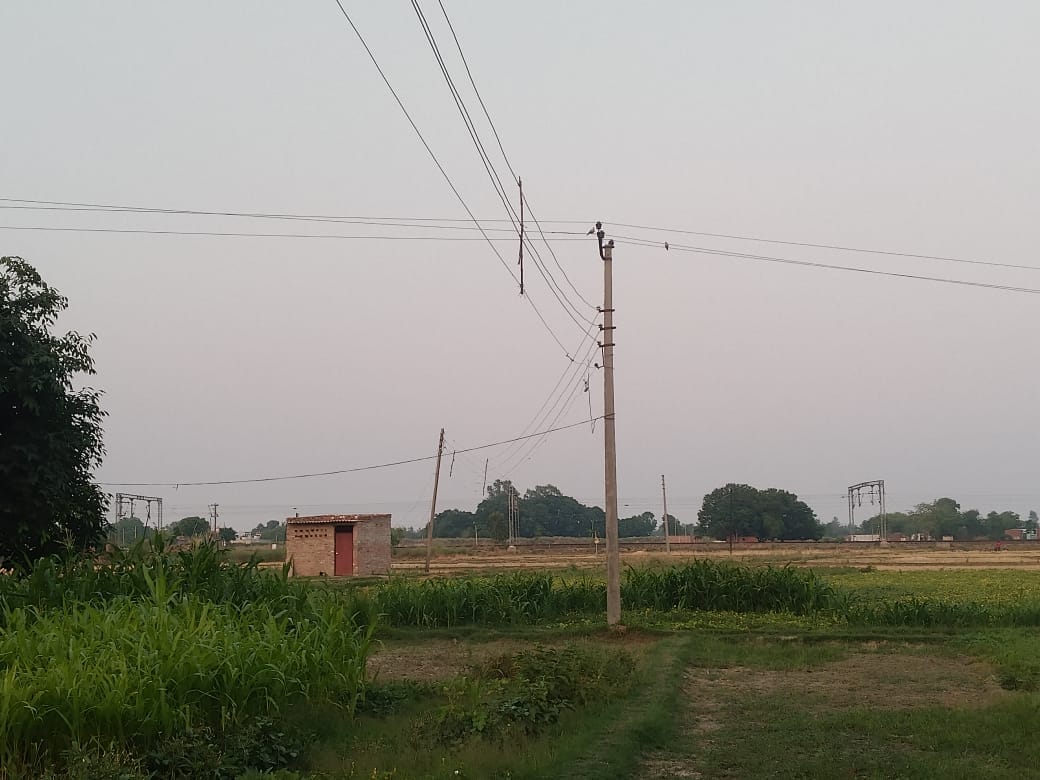Gale-force winds deflate tall claims; over 600 poles toppled in two months.