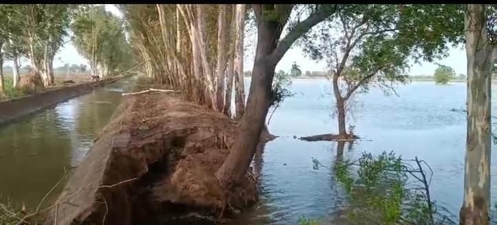 Due to the breakage of Badhana Minor, water entered the fields of Dahaula, submerging 80 acres of crop area.