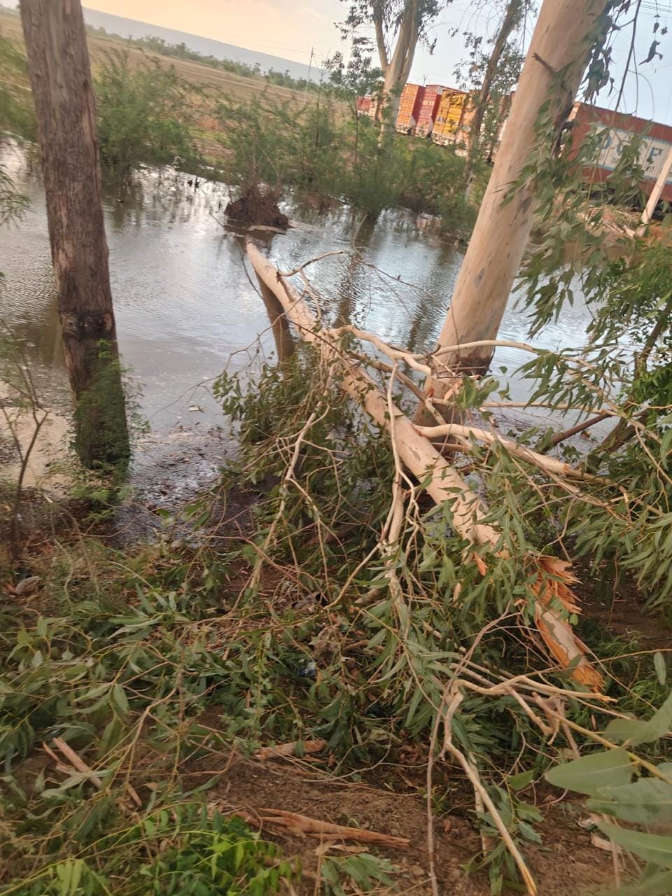 Storm wreaks havoc; 200 electricity poles and trees toppled