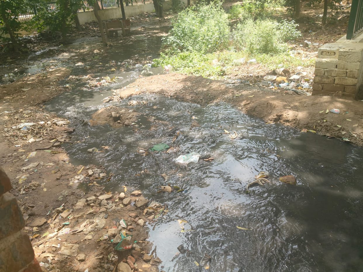 Contaminated sewage water being discharged into the park near Brass Market.
