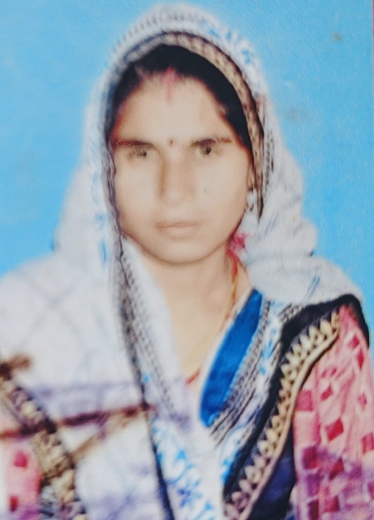 Woman dies in stone-pelting; four arrested, including former village head.