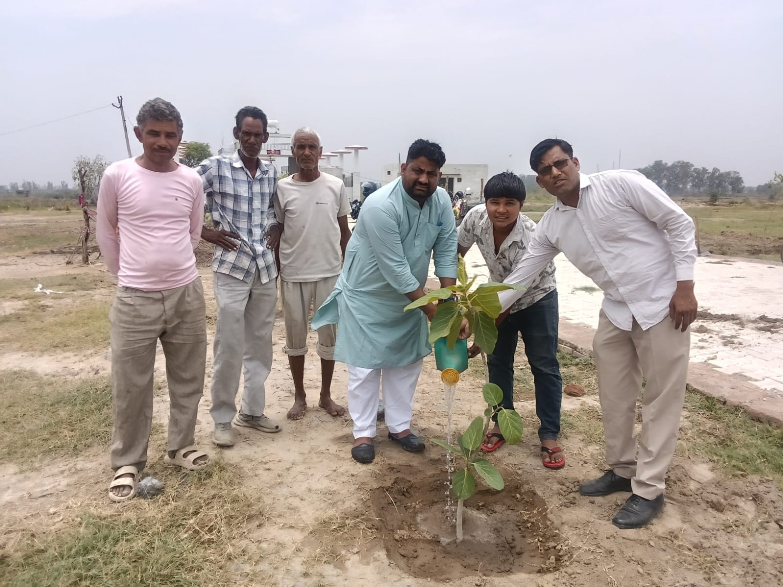 Pledge To Protect The Environment By Planting Trees - Sonipat News ...