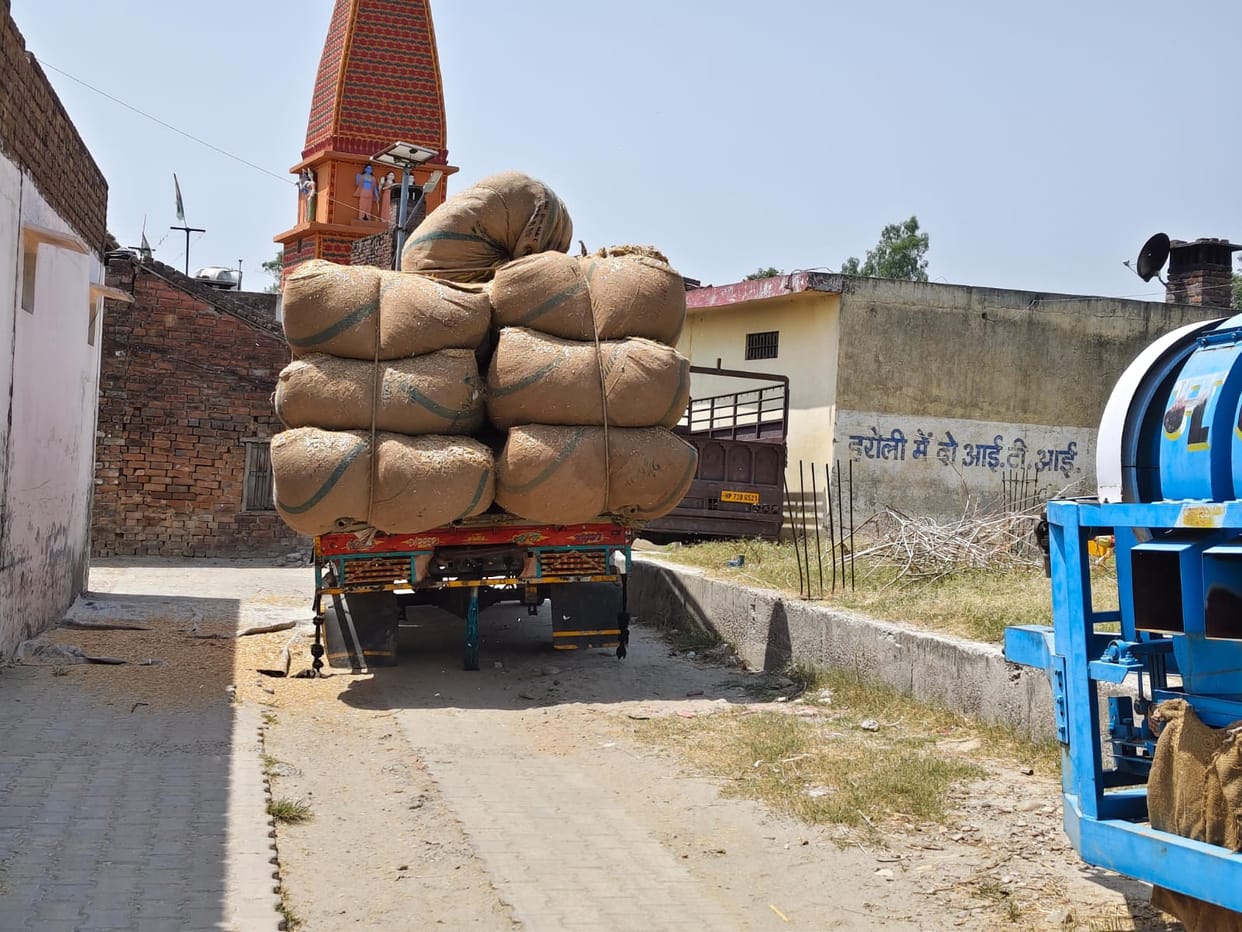 The price of straw is skyrocketing, reaching Rs 1250 per quintal.