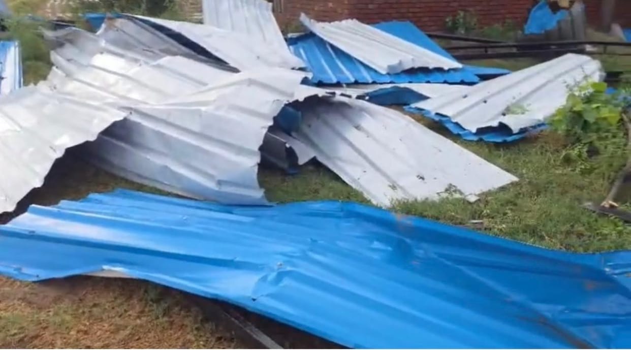 The storm accompanying the rain blew off the shed of the cattle shed.