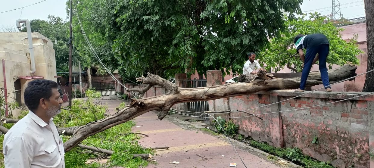 Rain disrupted power supply, with 56 poles broken and 25 insulators torn.