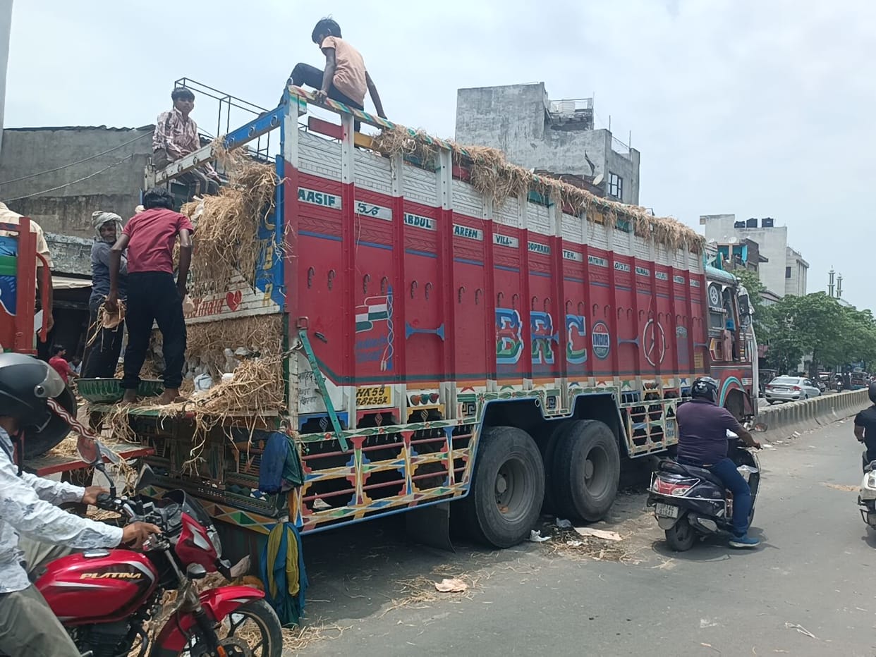 Container crashes into dumper that had hit DME divider; driver dies.