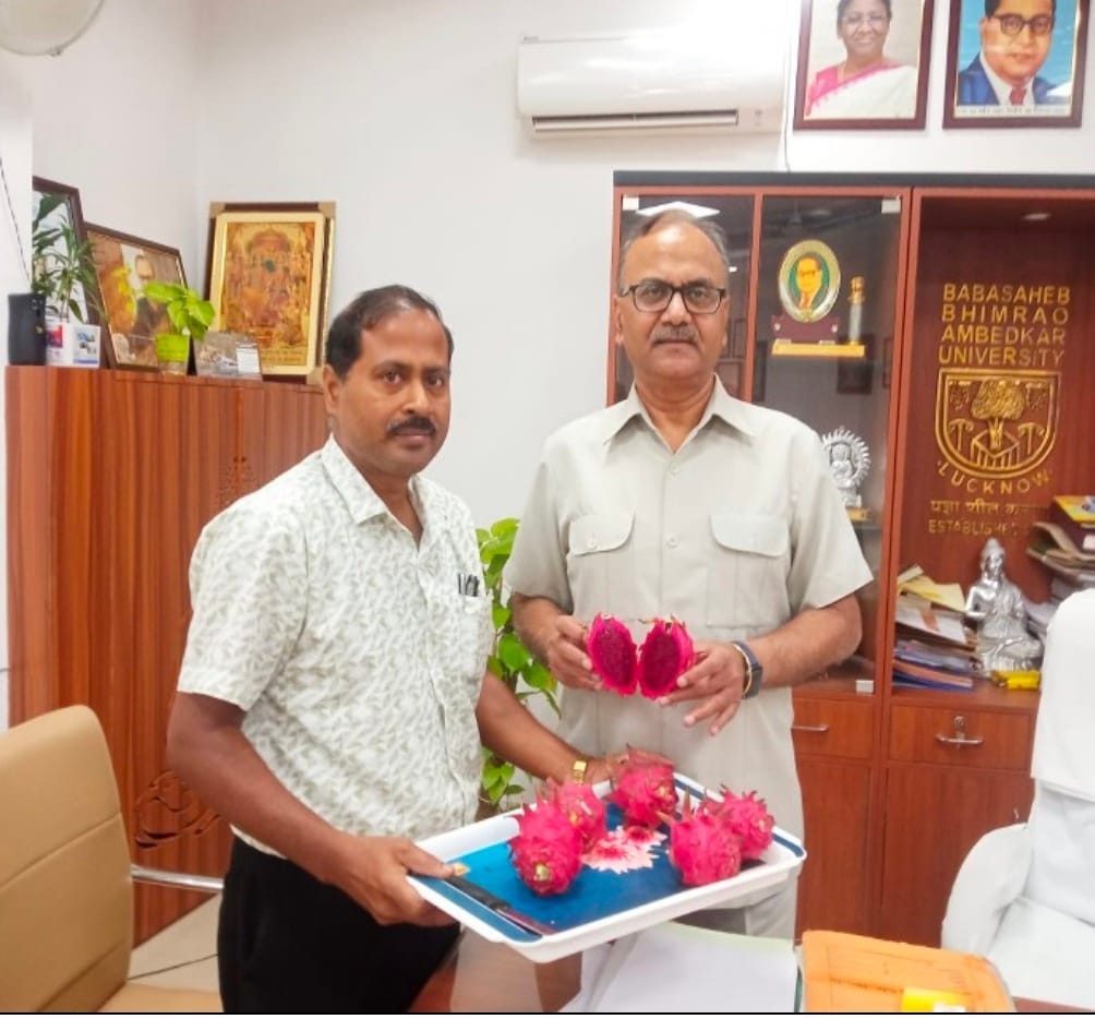 Dragon fruit will now be sweeter and will also boost farmers' income.