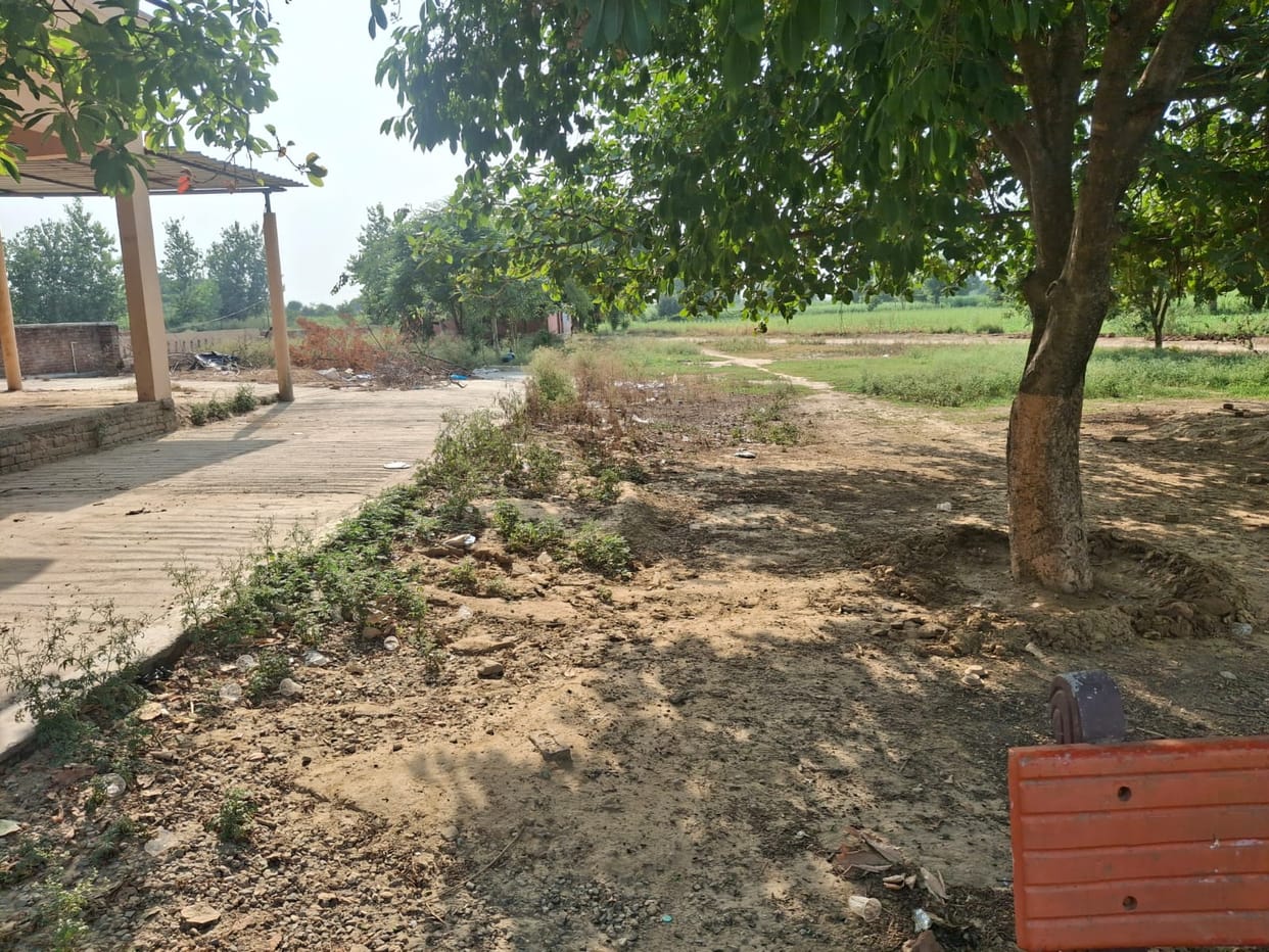 Saplings appear lush green on the MGNREGA portal but are missing on the ground.