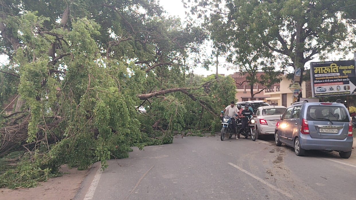 70 poles toppled by storm; one dead.