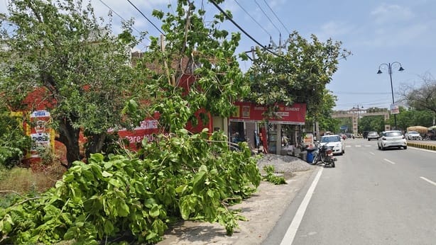 766 electricity poles and two 33 kV towers toppled due to the havoc wreaked by the storm.