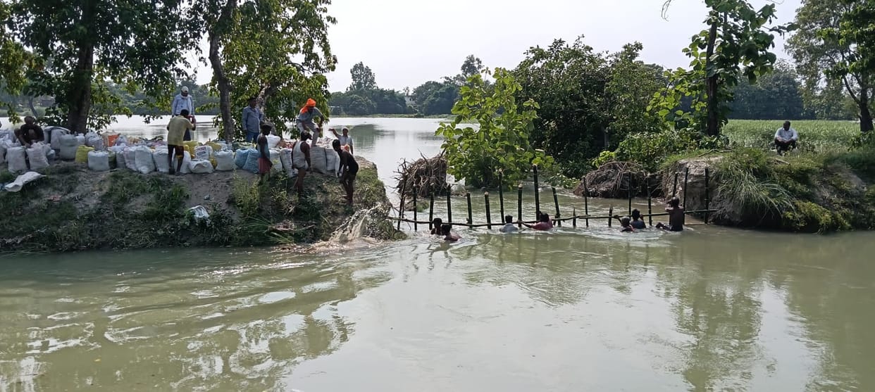 Khajuria branch canal broke, hundreds of acres of crops submerged