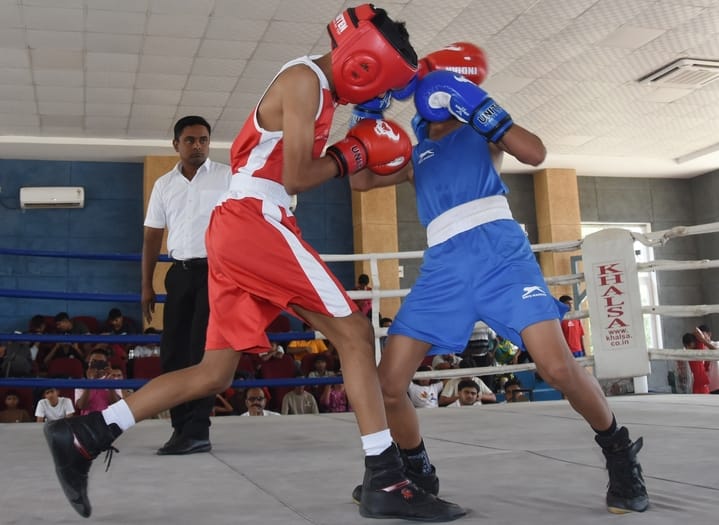 Meerut division shines in the semi-finals of boxing