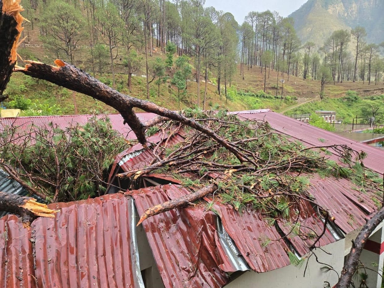 Tree Falls on School, House Roof Blown Off During Severe Storm