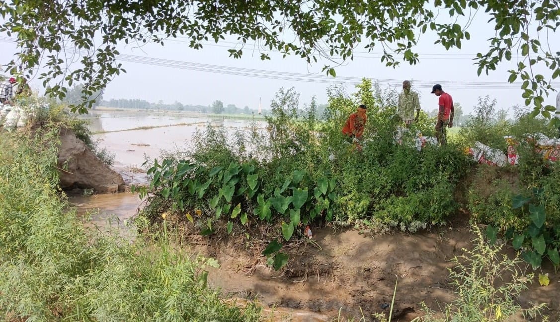 Intermediate canal breaches due to overflow; over 100 bighas of crops submerged.