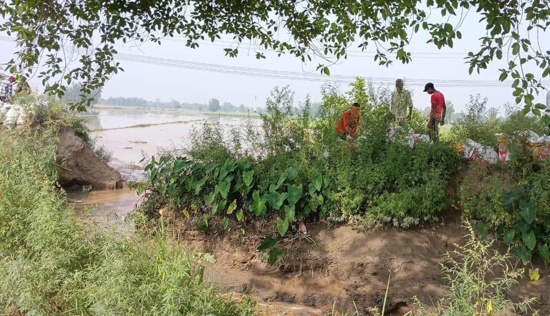 अनूपशहर क्षेत्र के गांव डूगरा जोगी के खेतों में भरा बिचोला बंबा कटने से पानी। संवाद