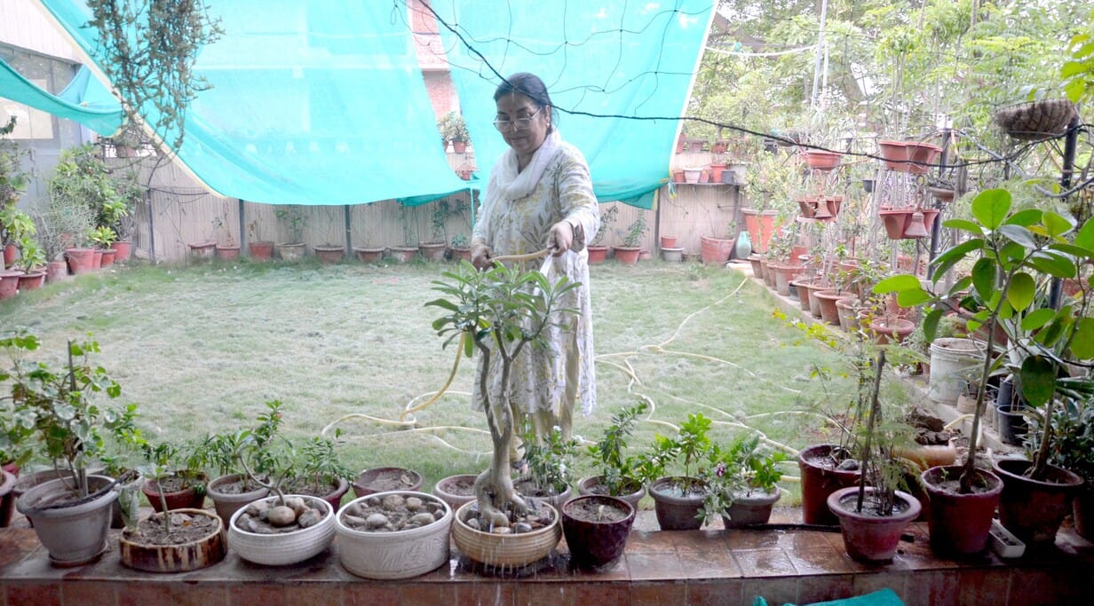Purnima Singh created a rooftop garden with 250 plants