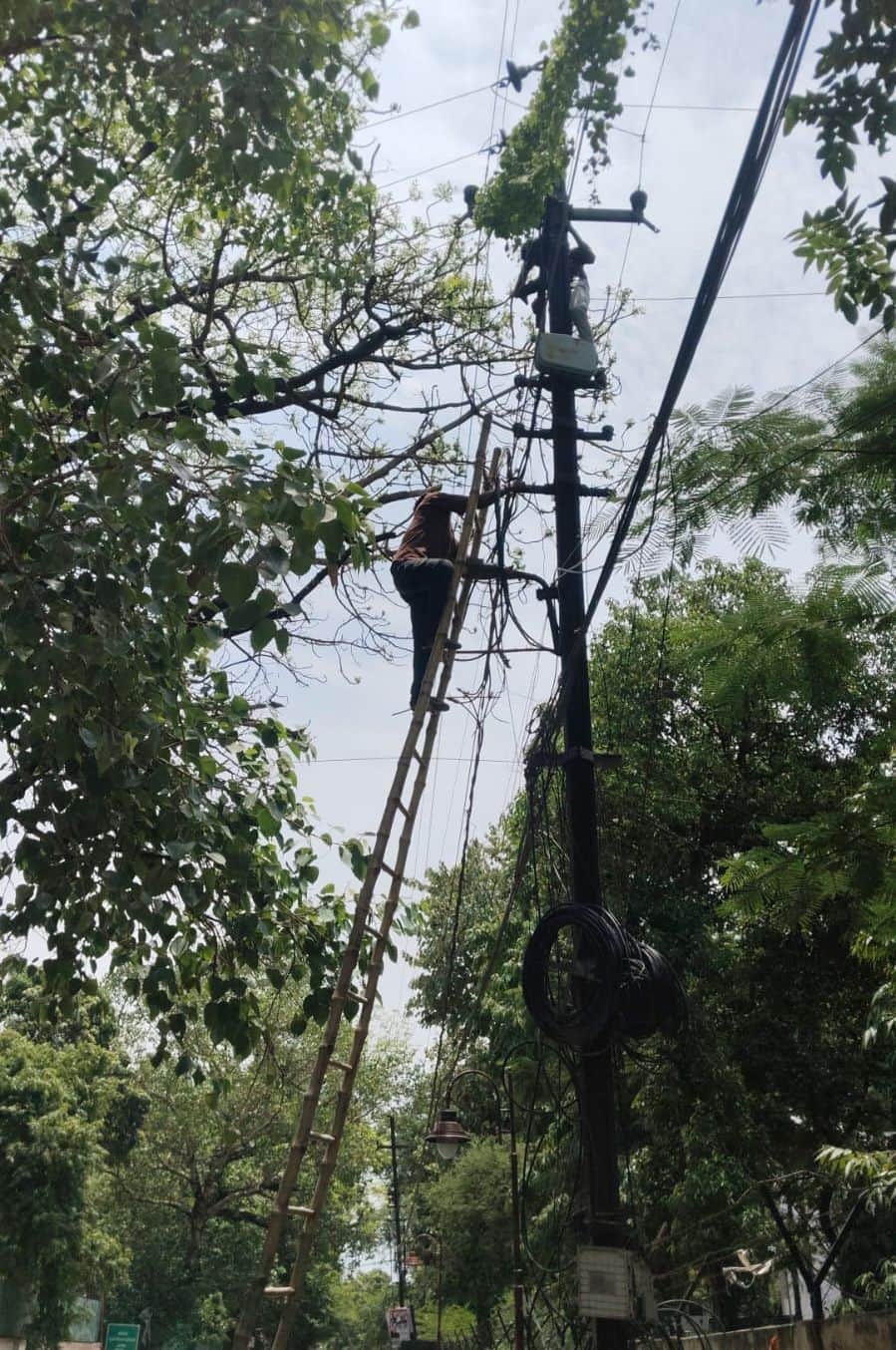 फोटो-19-कचहरी क्षेत्र में पेड़ गिरने से क्षतिग्रस्त हुए तार को सही करते कर्मी। संवाद
