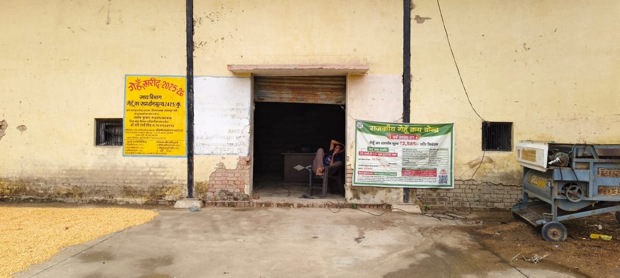 Wheat procurement crosses one lakh quintals; five-year record broken.