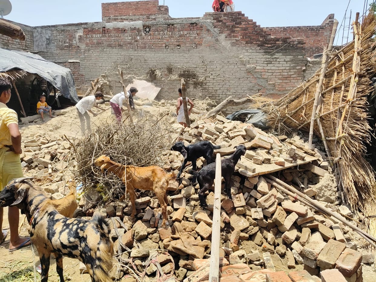 6 goats died and 7 were injured after an unbaked-brick wall collapsed.