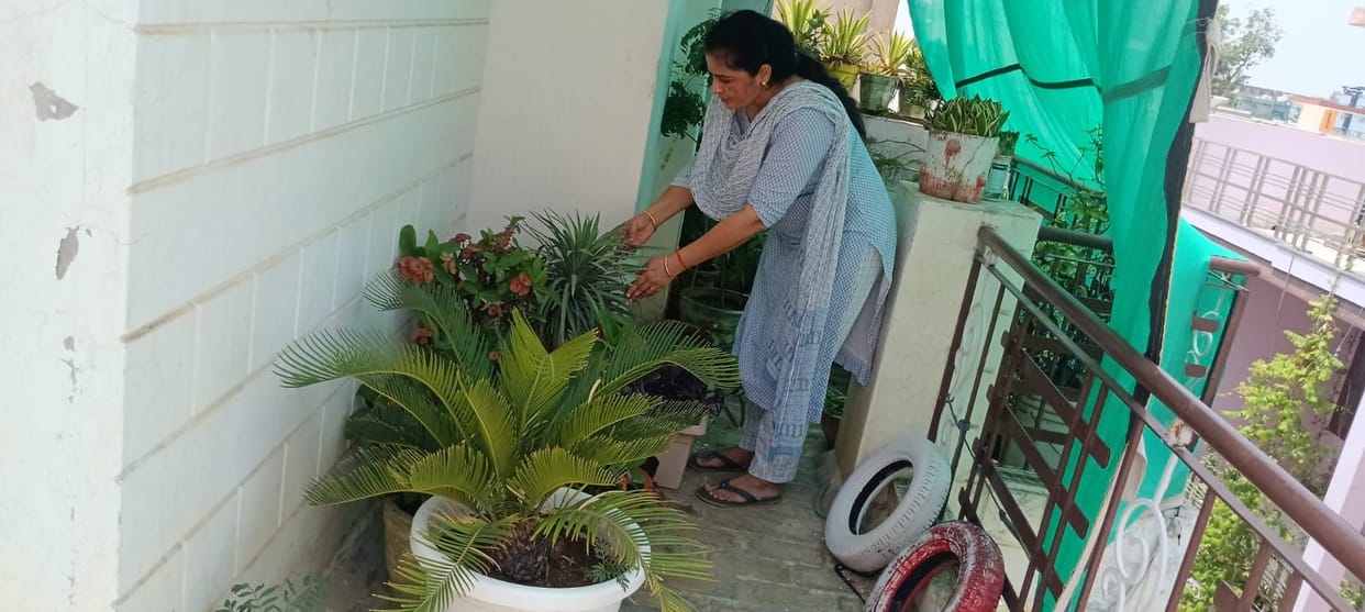 Spending time with plants created distance from screen time.
