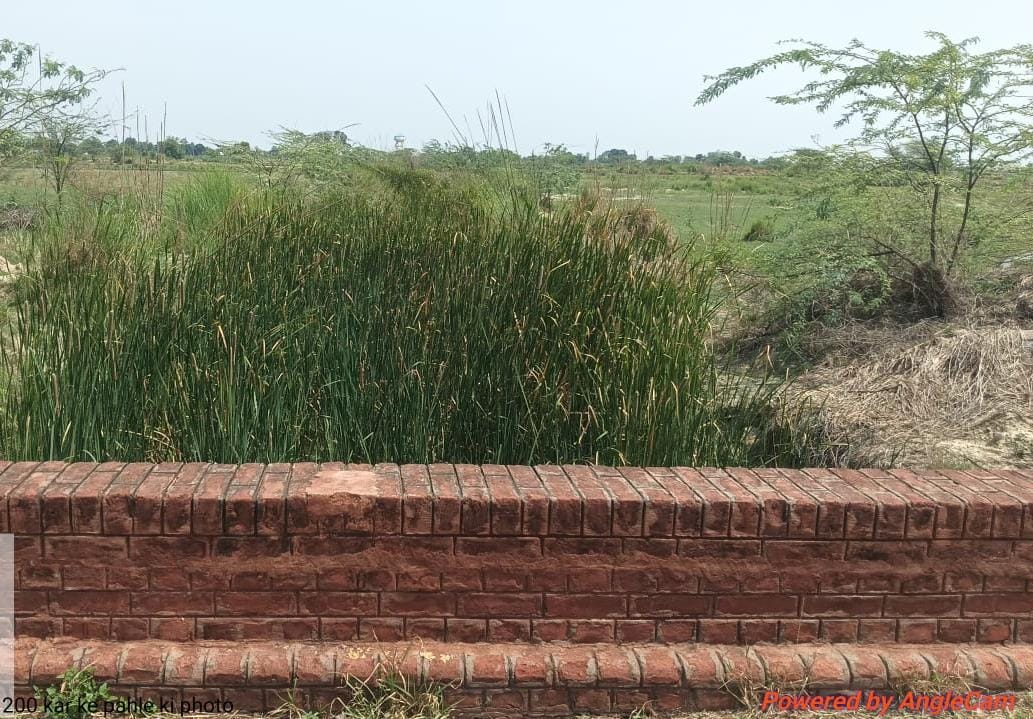 Siyari, Dhupkari, and Chhuiya drains have been choked with filth for two years; crops face imminent submersion again.