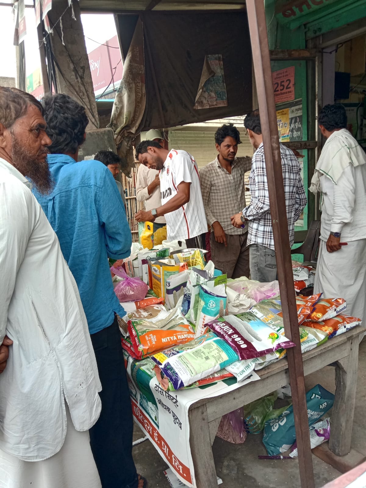 Rain sparks hope; crowds of farmers flock to buy seeds.