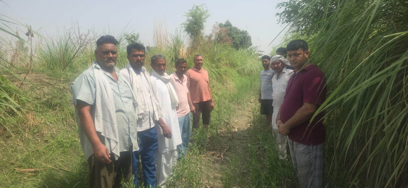 महम स्थित बहलबा माईनर में खड़ी घास दिखाते किसान। स्रोत किसान