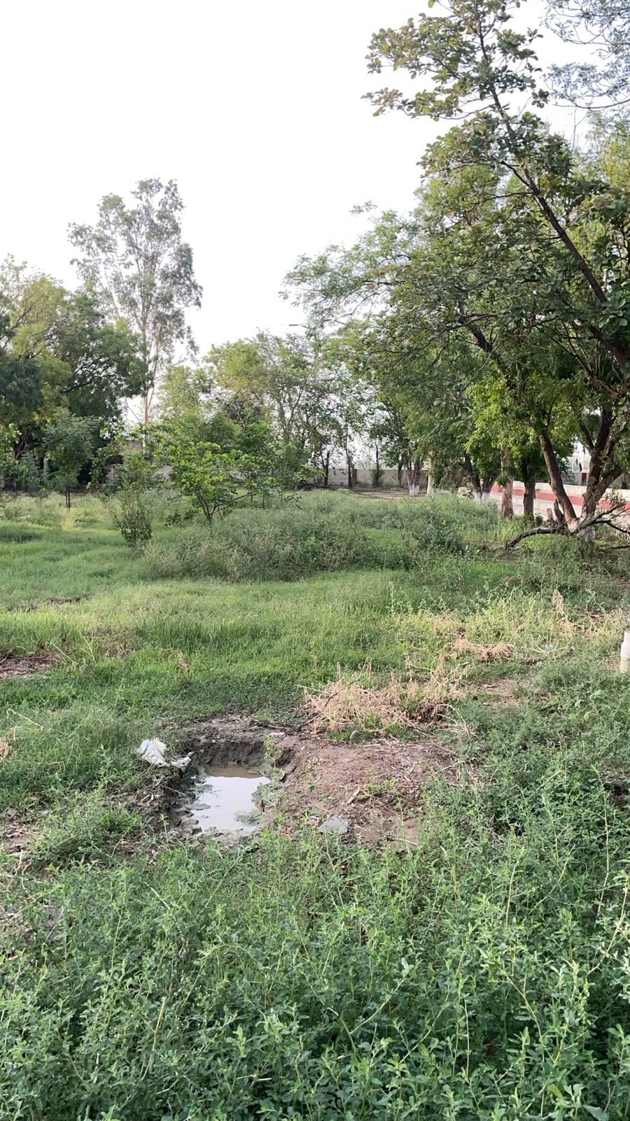 Sports complex in shambles; questions raised about the management