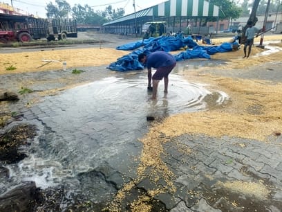 Nature's fury struck from the fields to the market.