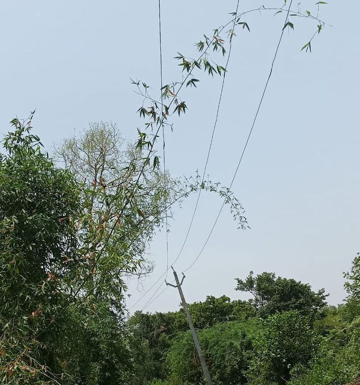 Power supply to the city and 400 villages was cut off
