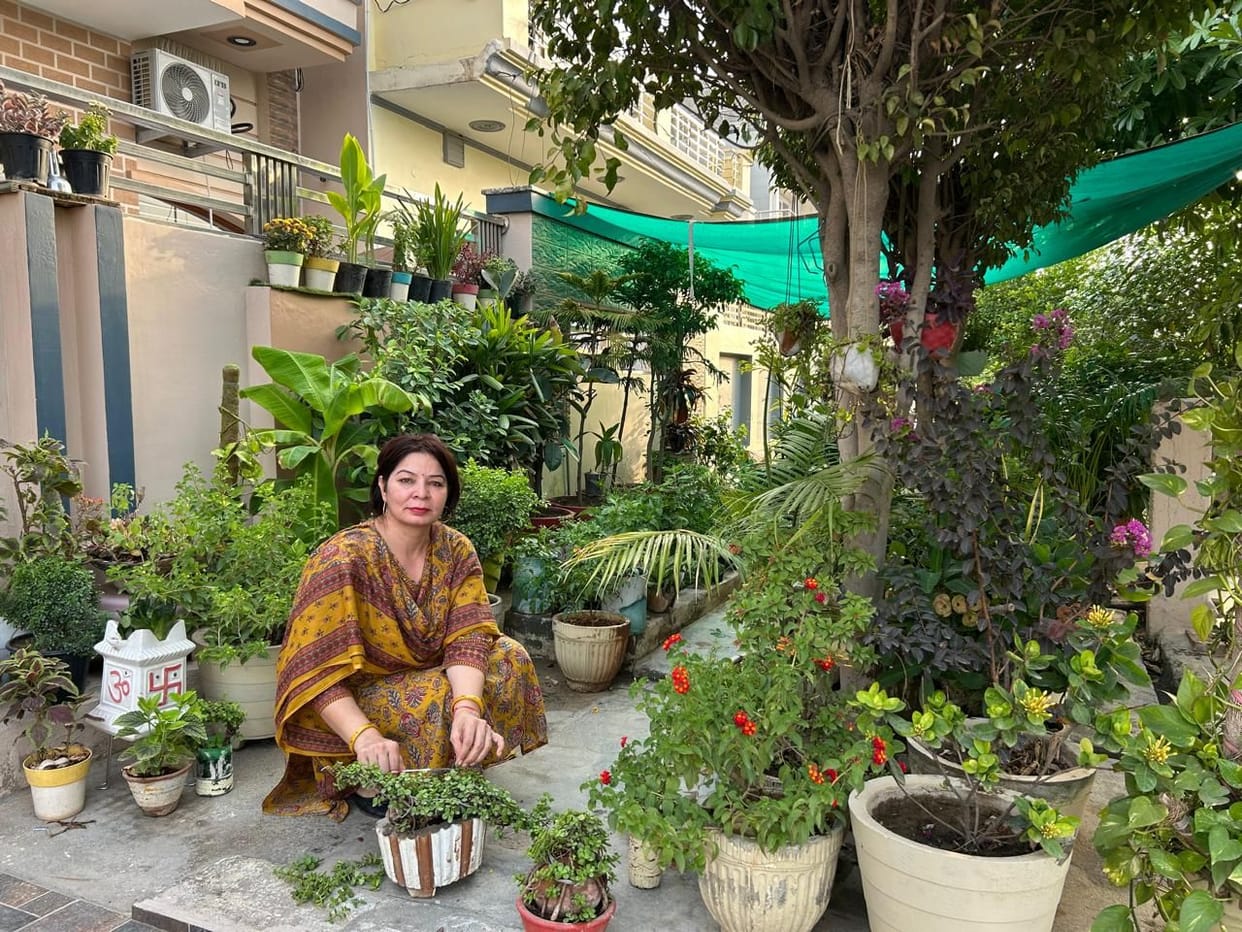 Suman Saharan's gardening journey began during the COVID-19 period.