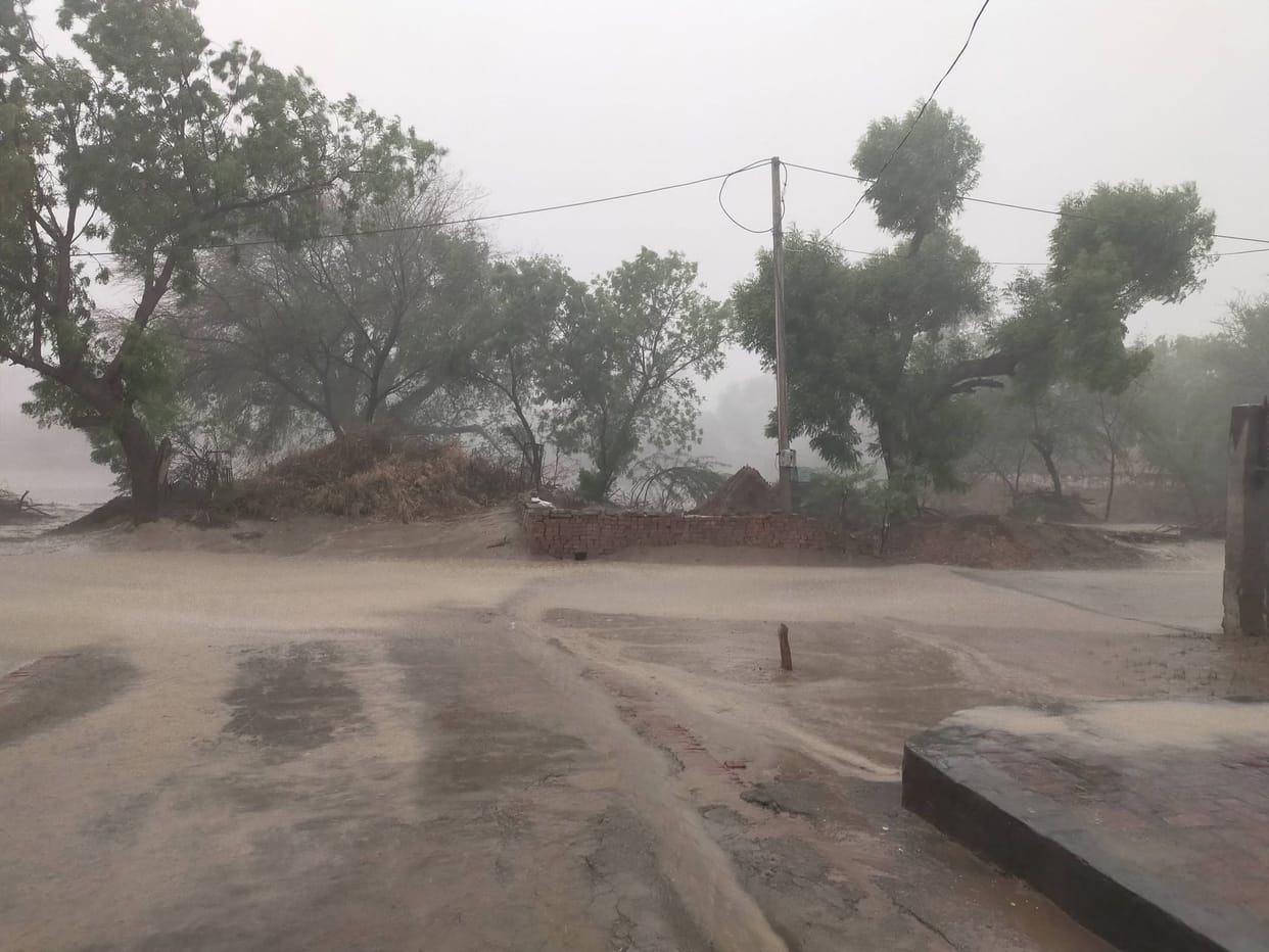 Rain in a dozen villages bordering Rajasthan brings smiles to farmers' faces.