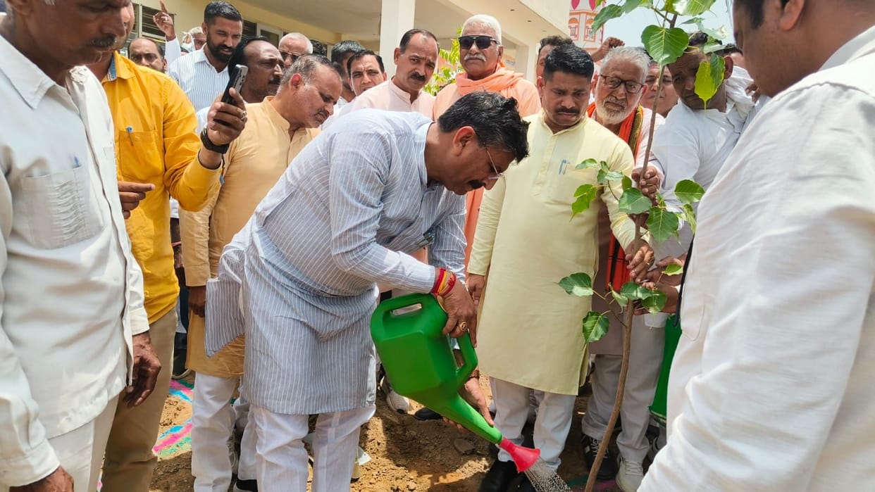 Minister Krishan Bedi planted saplings to mark the completion of 12 years of the Central Government.