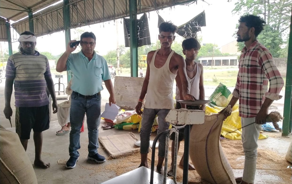 Record procurement of 20,983 metric tonnes of wheat in the district