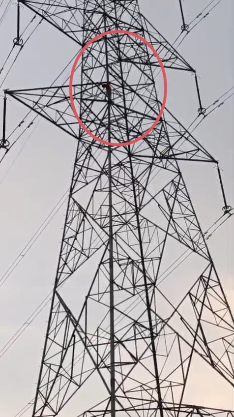 Drunk man climbs high-tension tower, comes down after an hour