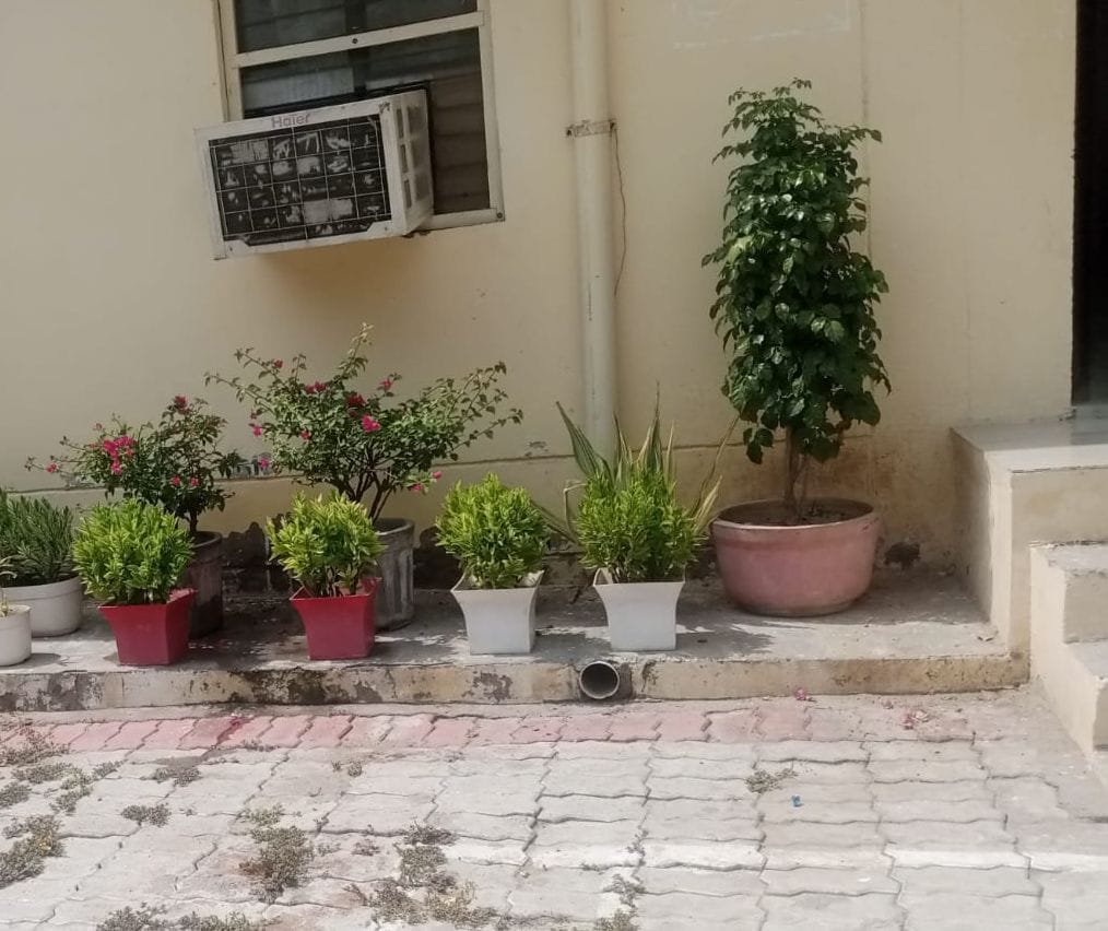Claims to save every drop, water flowing in torrents
