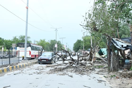 200 trees and 80 poles toppled by storm; power supply and traffic disrupted.
