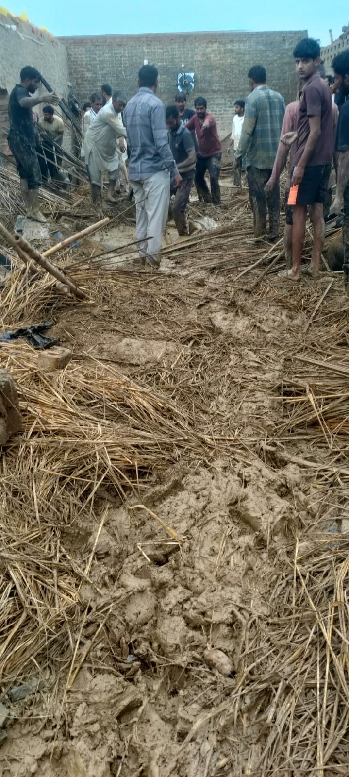 In Jogiwala, a storm blew off the roof of a dairy, 20 cows trapped in the debris