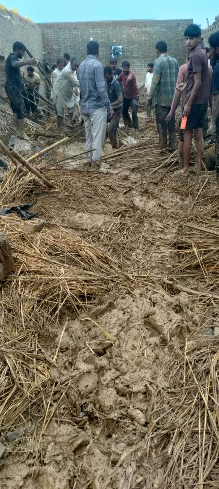 आंधी में डेयरी की छत गिरने पर पशुओं को बाहर निकालने में जुटे लोग। 