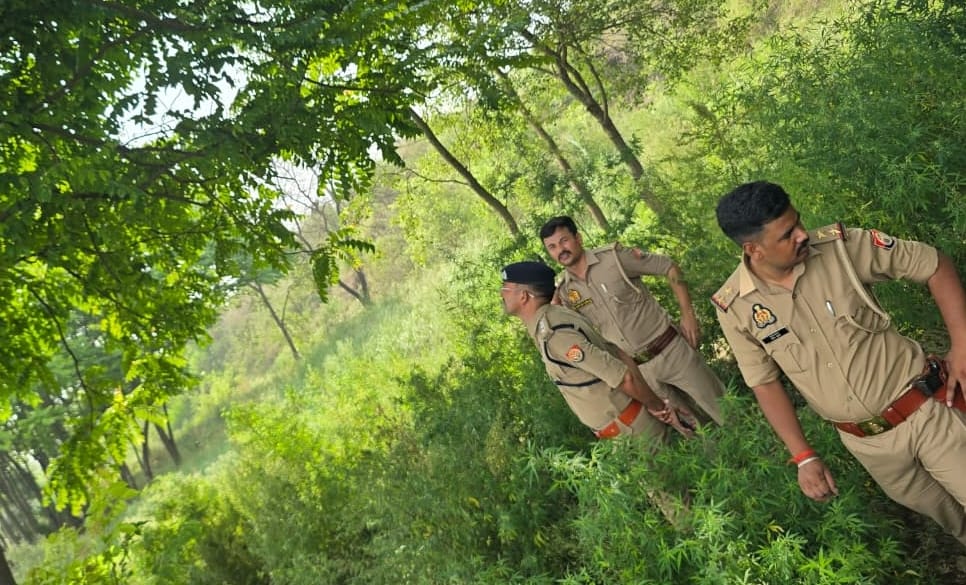 बाबूगढ़ में पेड़ पर लटके शव की जांच करते सीओ। संवाद
