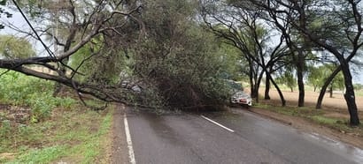 Strong winds toppled 240 electricity poles and 18 transformers, and uprooted 170 trees in the district.