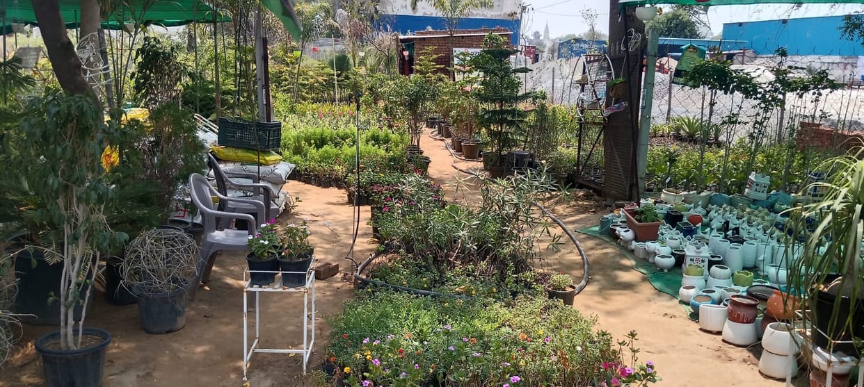 Nursery operators have started booking plants ahead of the monsoon.