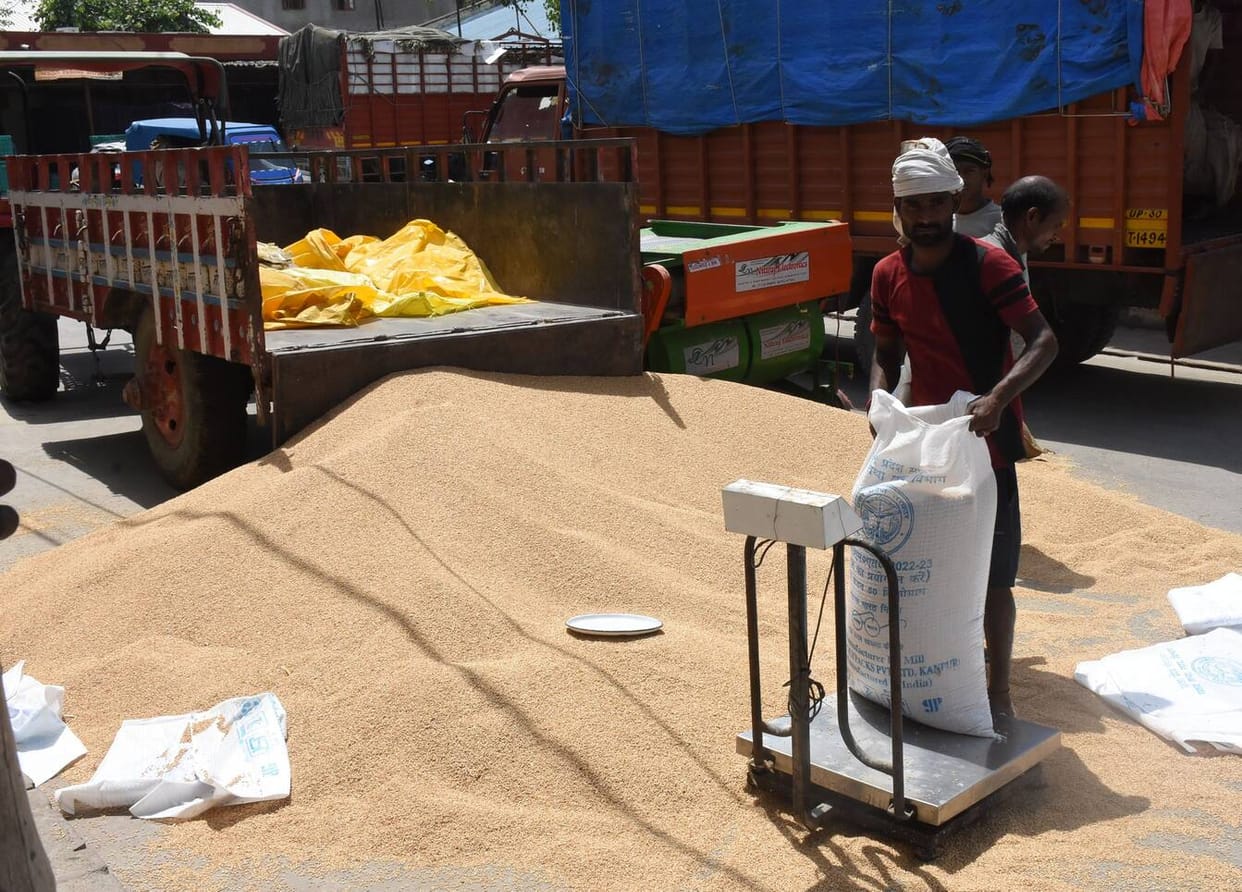Wheat procurement in the district breaks previous record; 91.84% of the target achieved.